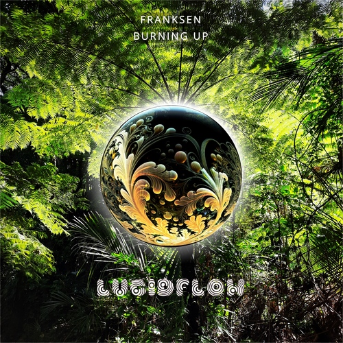 Franksen - Burning Up - Lucidflow LF299 (Oct 13 Beatport, Spotify Nov. 10 all) artwork