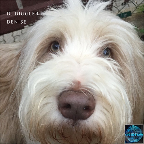 LF347 D. Diggler - Denise 30.5. beatport artwork